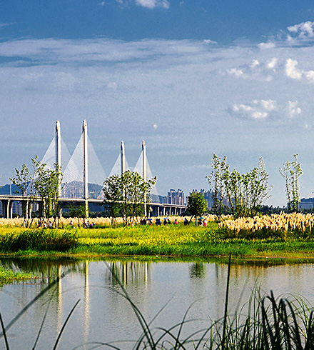 湖北襄陽(yáng)月亮灣城市濕地公園